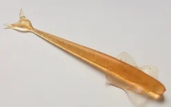 Aaltonen Läpikuultavaoranssi 6" 150mm 9,2g 5kpl