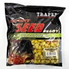 Expert Seed Maissi - Mansikka 500g