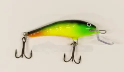 HK Varma Sintti Kalkkaro Papukaija 6cm