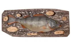 Koriste Ahven 35x14cm