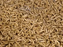 Kärpäsentoukka valkoinen 1 litra