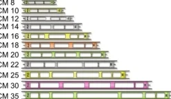 Onkipohja 9416L pituus 16cm leveys 20mm