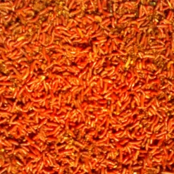 Pinkietoukka fluo oranssi 1 litra