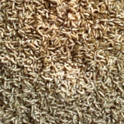 Pinkietoukka valkoinen 1 litra