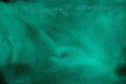 Värijauhe UV hohto Aqua